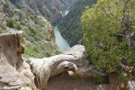 PICTURES/Black Canyon of the Gunnison - Colorado/t_P1020543.JPG